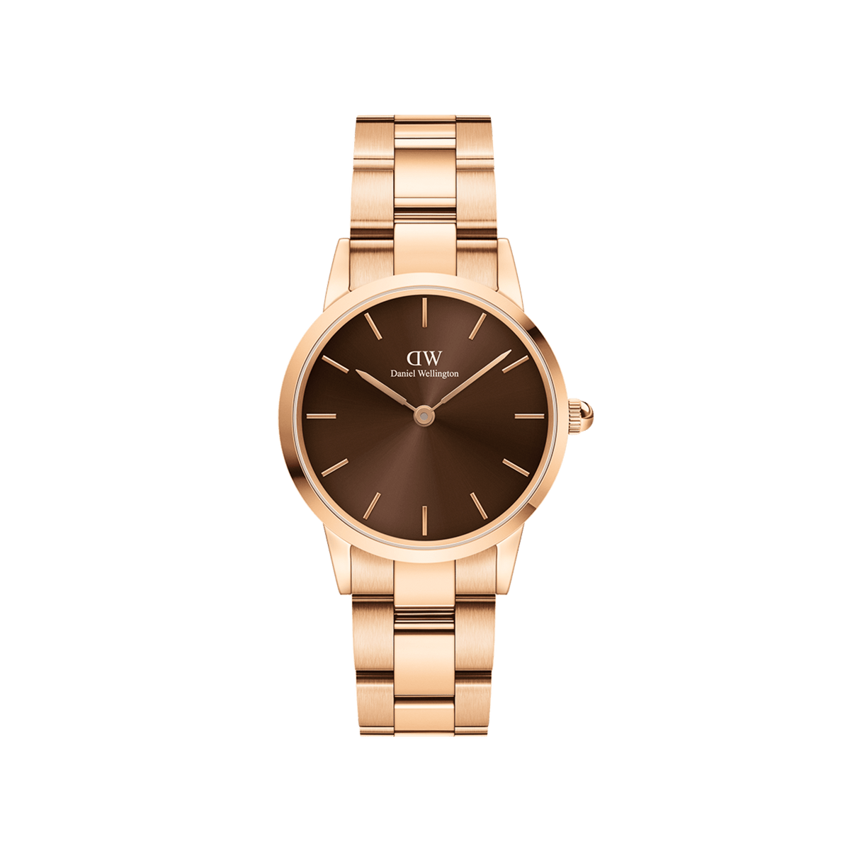 Daniel wellington watch ladies online