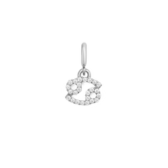 Zodiac Watch Charm Silver