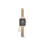 Quadro Mini Crystal Zodiac Evergold Set