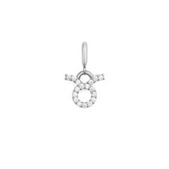 Zodiac Watch Charm Silver