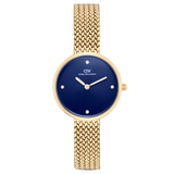 Round Analog Blue Gold
