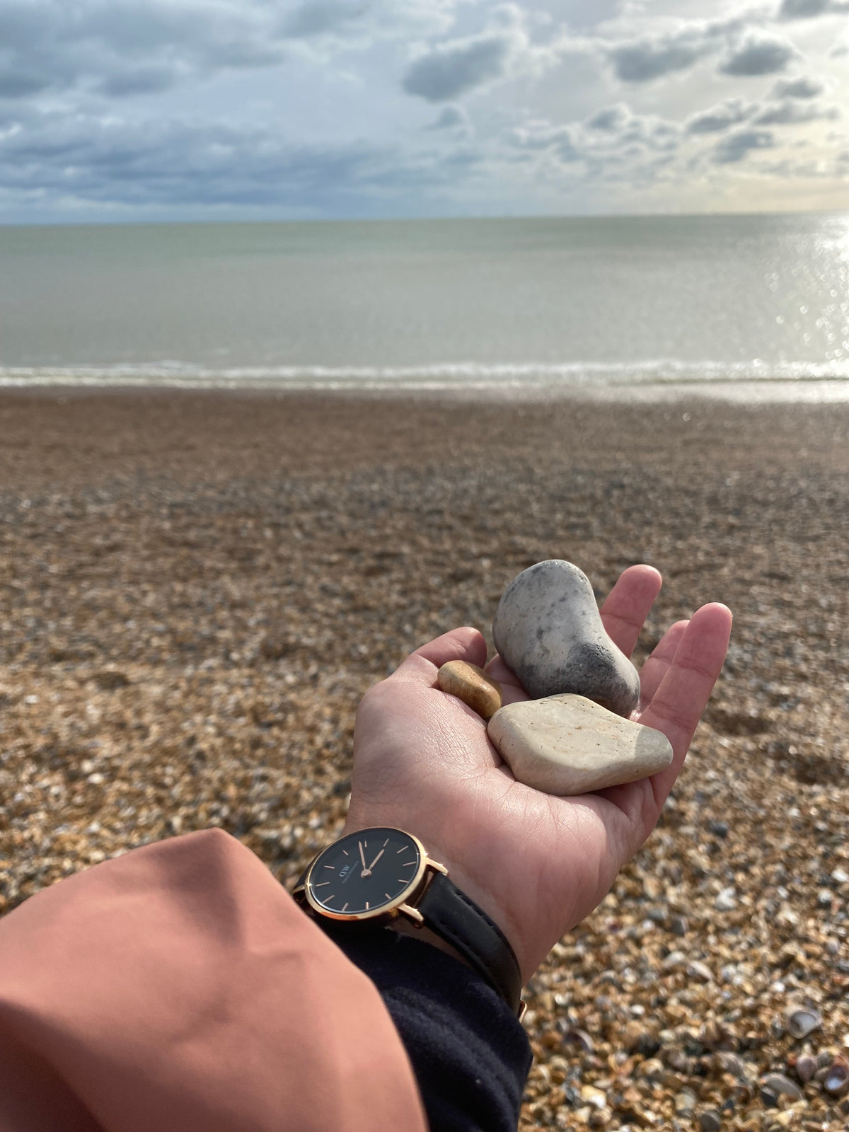 Photo from a customer review