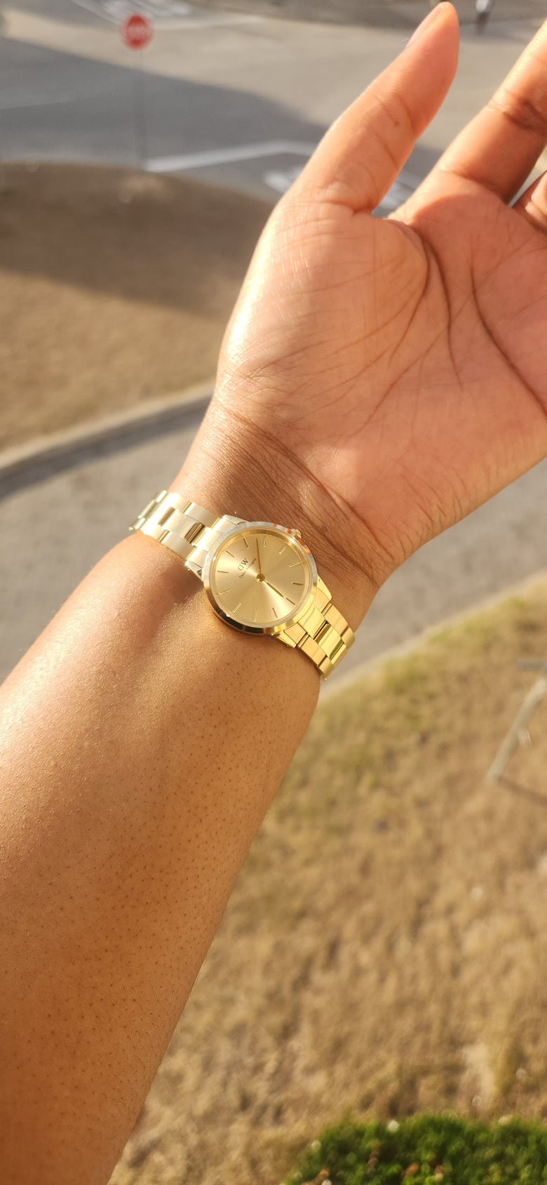 Photo from a customer review