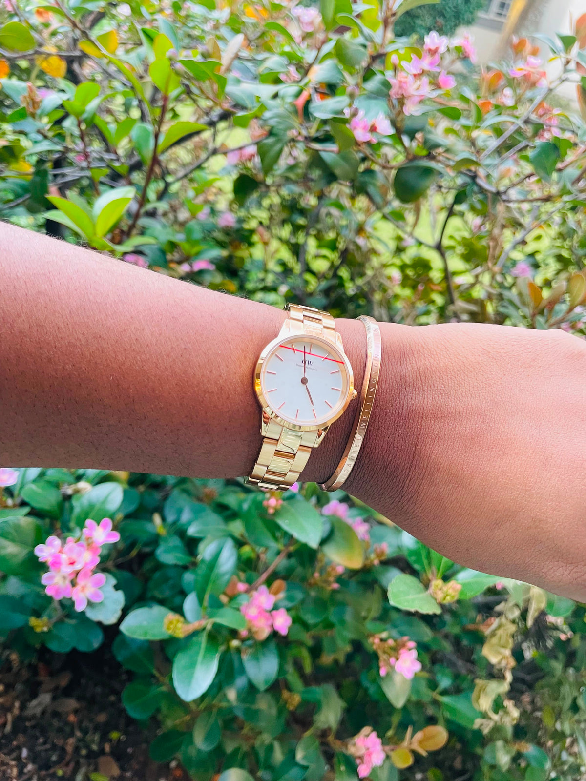 Photo from a customer review